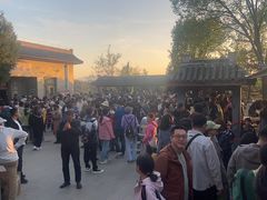 -磬锤峰森林公园
