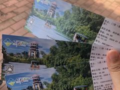 -大湾区中央湿地公园