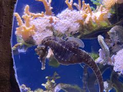 -郑州海洋馆