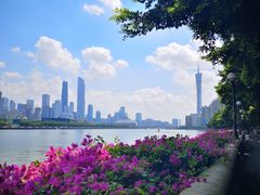 -珠江夜游广州塔·中大码头