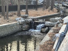 -白水寺森林公园