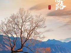 -裕和堂中医推拿艾灸(太古汇臻品店)