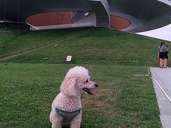 -郑东新区龙湖公共艺术中心