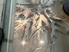 -金沙遗址博物馆