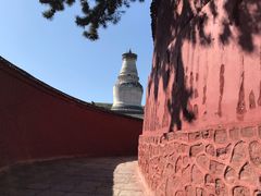 -五台山风景名胜区-罗睺寺