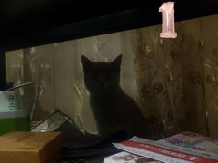 -吱咖啡西式简餐