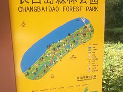 -长白岛森林公园