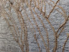 -也枫·小黄楼(南山路旗舰店)