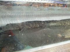 android_upload_pic-渔民新村(番禺总店)