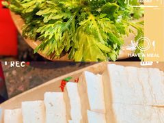 茼蒿-重庆渝达老火锅(春熙路店)