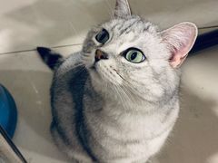 -平行世界·猫咖(首经贸店)