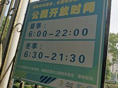 -陈家山荷花公园