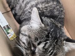 -乖乖乐动物医院(小汤山分院)