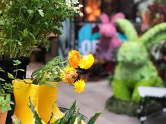 -PlantsEatery·植物食堂(REX春熙店)