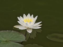 -长沙黑麋峰国家森林公园