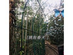 -成都松鼠部落
