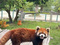 -泉州海丝野生动物世界