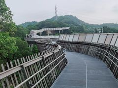 -福道