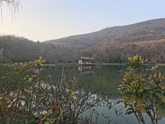 -紫霞湖公园