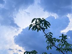 -羚羊峡古栈道森林公园