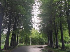 -石湖景区