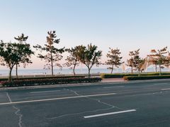 -烟台金沙滩海滨公园