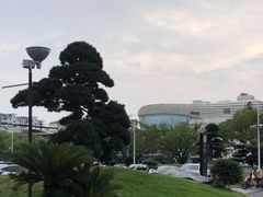 -上海白金汉爵大酒店(大零号湾国际会议中心店)