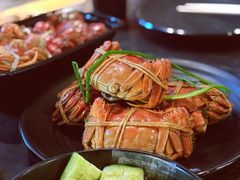 -黄记大闸蟹专卖店·活蟹·醉蟹