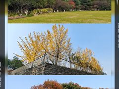 -武汉园博园(武汉自然博物馆)