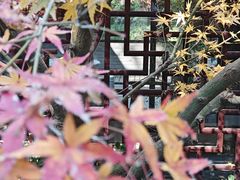 -中国茶叶博物馆(双峰馆区)