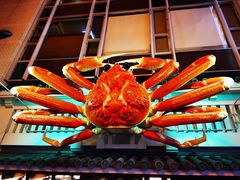 -蟹道乐(道顿堀本店)