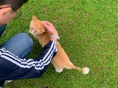 -复旦大学光华楼