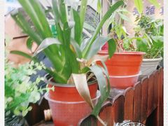 -豫掌柜饸饹面·烩面(秀沿路店)