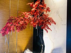 -璞·澐间影院式足道SPA(尚悦湾店)