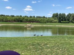 -北京野生动物园