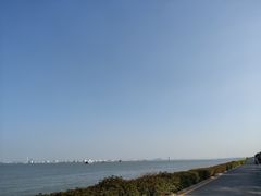 -海鸥岛