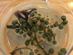 藤椒青提苏打咖啡-无牌咖啡&酒馆