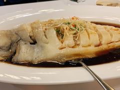 清蒸狮麟鳐鱼-金狮麟·新豫菜(金码大厦店)