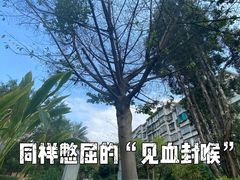 -广州神农草堂中医药博物馆
