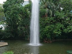 -九龙公园