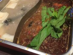 -新辣道鱼火锅(领展购物广场·中关村店)