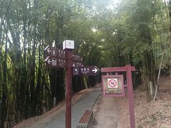 -南津关古镇