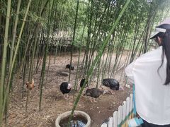 -竹泉村旅游度假区