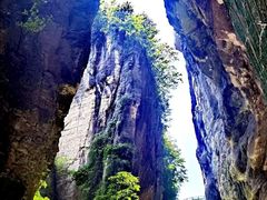 -蝶舞清江·恩施云顶景区(黄鹤峰林)