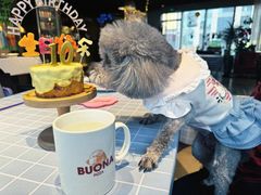 -百好乐宠物友好餐厅(朝外大街店)