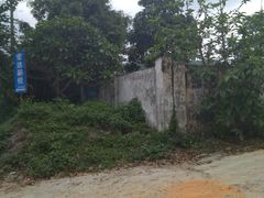 -旗岭森林公园