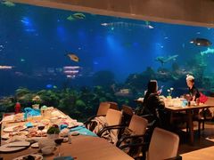 -海棠湾洲际-涛·海底餐厅·美人鱼·自助餐·海底隧道