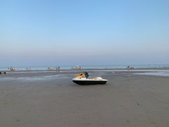 -贝壳沙滩