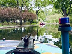 -上海共青森林公园