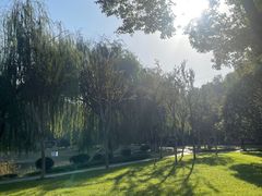 -堤角公园